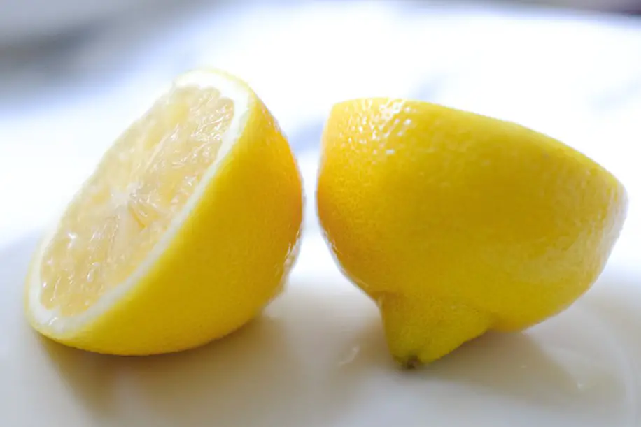 how to grow a meyer lemon tree from a seed indoors