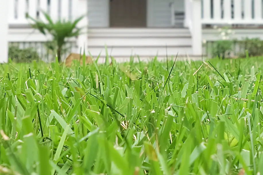 How to Lay Sod to Save Money | DIY 5 step guide | Simply Living NC