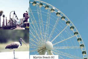 Things to do in Myrtle Beach SC Vacation Fun | Simply Living NC