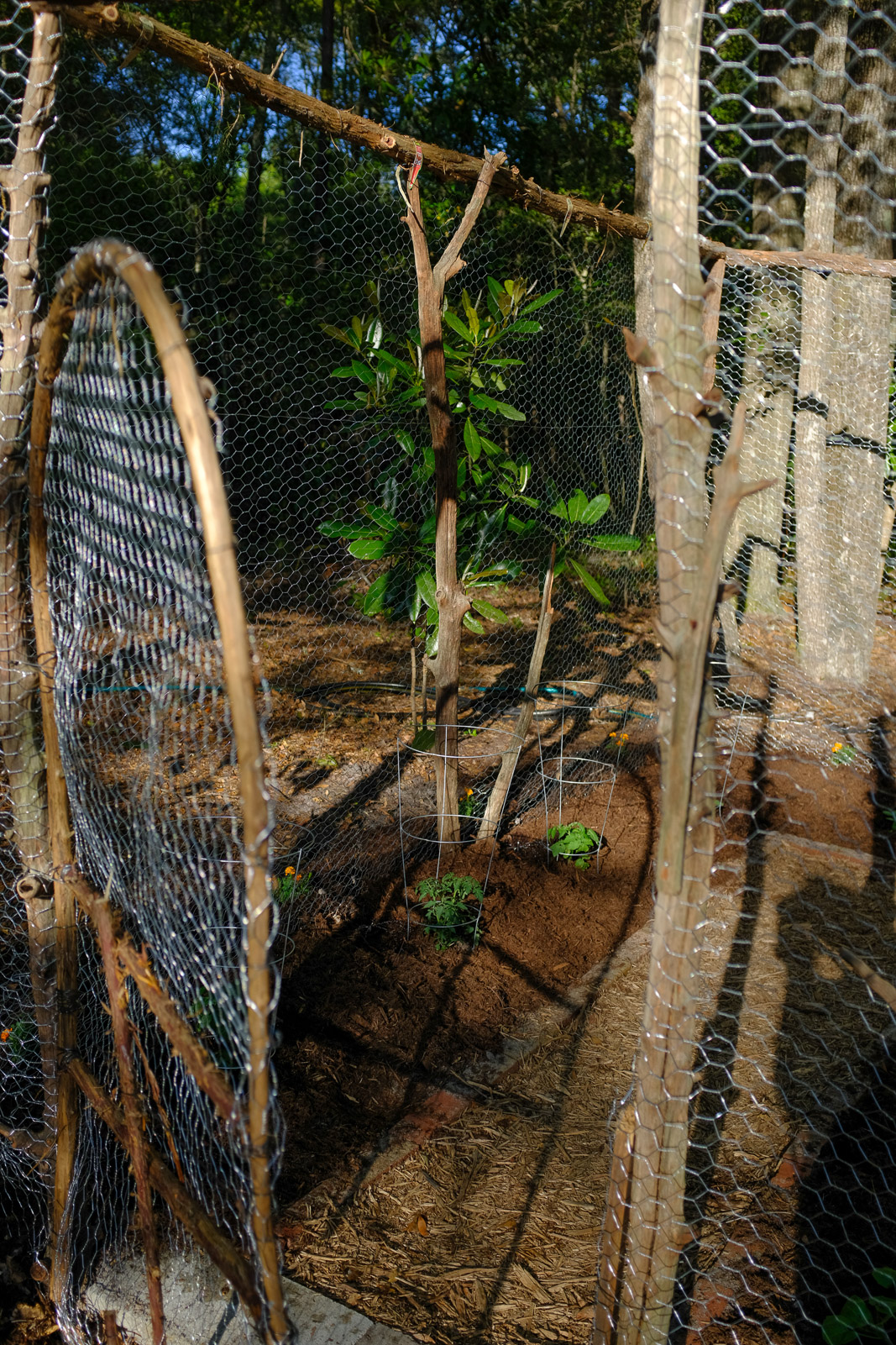 How To Build a Rustic Deer Resistant Small Vegetable Garden  | Simply Living NC