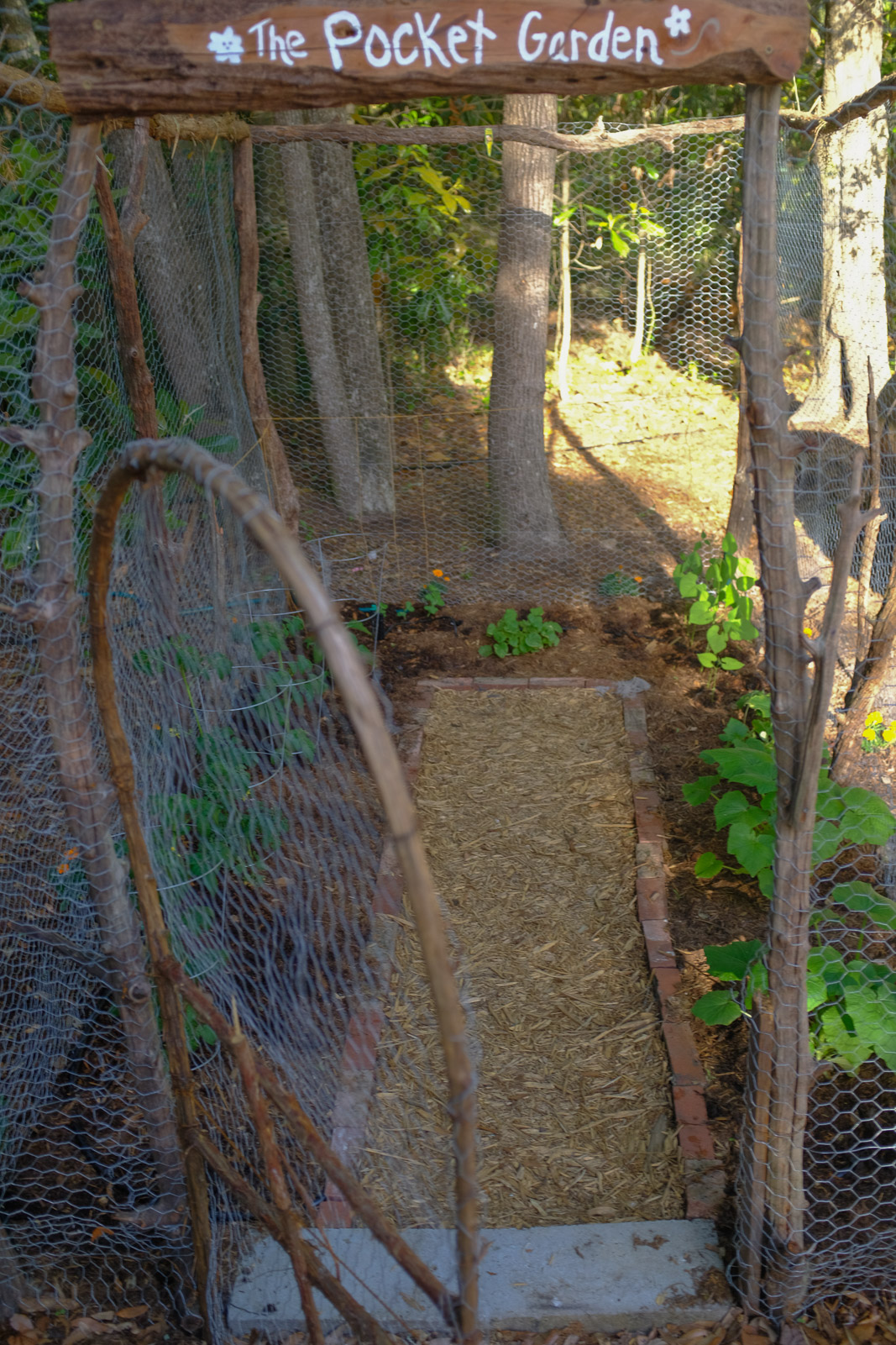 How To Build a Rustic Deer Resistant Small Vegetable Garden  | Simply Living NC