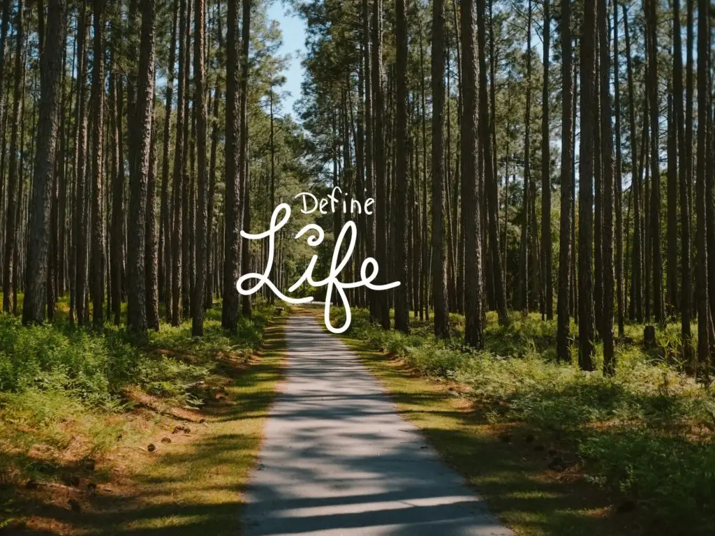 define LIFE; a blog about life