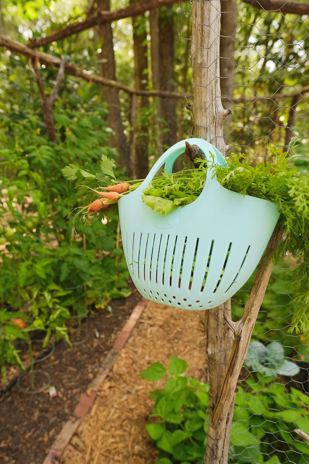 DIY Small Vegetable Garden Summer Harvest | Simply Living NC