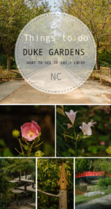 Duke Gardens Durham NC a Peaceful Day Trip | Simply Living NC