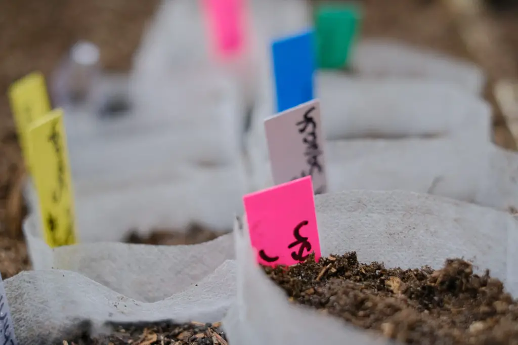 BUY GARDEN SUPPLIES ONLINE WHILE STAY AT HOME ORDERS ARE IN PLACE; Grow