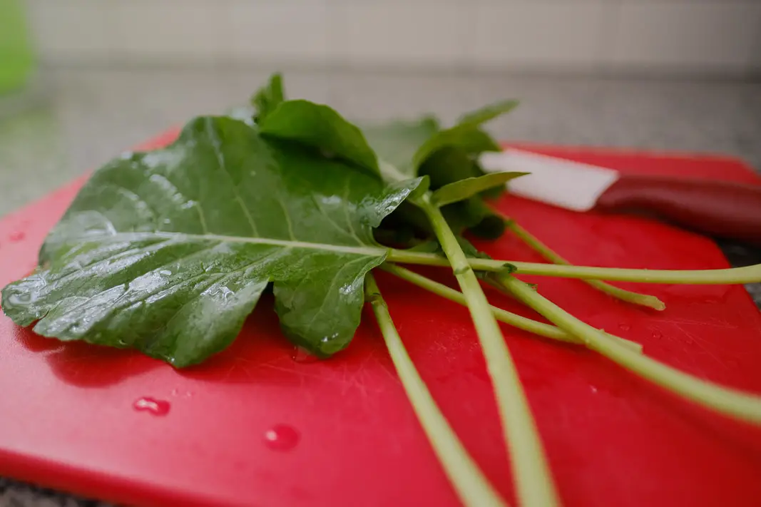 Broccoli Leaves, How to Harvest, Steam & Eat; grow your own food | Simply Living NC