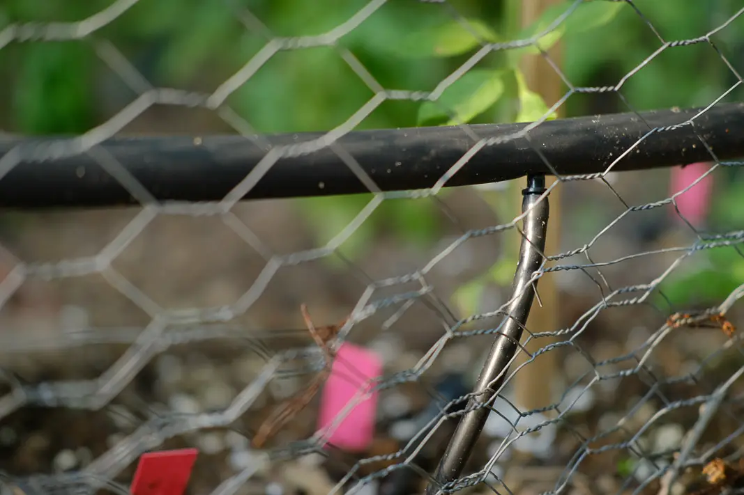 DIY Vegetable Garden Drip Irrigation; made easy | Simply Living NC