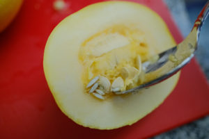 Spaghetti Squash; Small Wonder Winter Squash, How to Harvest, Bake, Cook & Eat; grow your own food