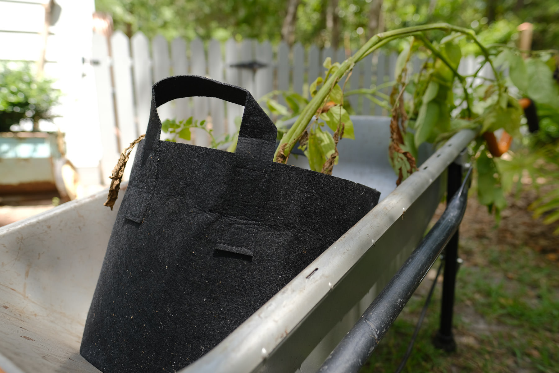 How to Grow Potatoes in Bags, Containers and Small Spaces Simply Living NC