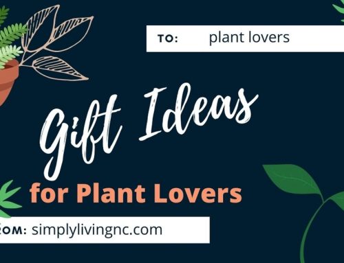 Plant Lover Gifts
